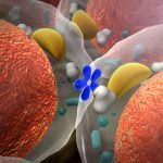 Bioidentische Hormone ▶ Behandlung Wirkung & Nebenwirkungen Bioidentische Hormone - Titelbild