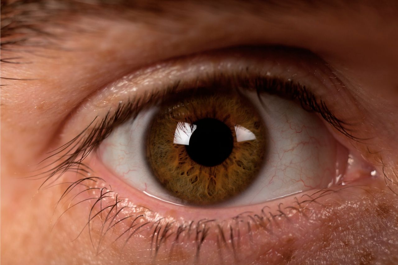 Augengesundheit Omega-3 Test