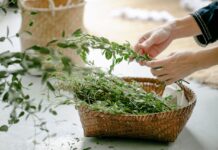 Leber entgiften in 3 Tagen – so habe ich es geschafft, mich wie neu geboren zu fühlen! Leber Entgiften in 3 Tagen - Beitragsbild