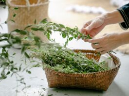 Leber entgiften in 3 Tagen – so habe ich es geschafft, mich wie neu geboren zu fühlen! Leber Entgiften in 3 Tagen - Beitragsbild