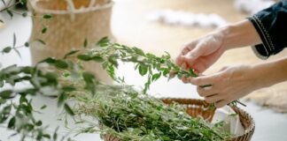 Leber entgiften in 3 Tagen – so habe ich es geschafft, mich wie neu geboren zu fühlen! Leber Entgiften in 3 Tagen - Beitragsbild