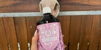 Chilloutsaft Tierliebhaber – Erfahrungsbericht Chilloutsaft Erfahrungsbericht - Titelbild