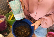 Meine Erfahrungen mit dem Tierliebhaber Hustensaft für Pferde Hustensaft für Pferde Erfahrungsbericht - Titelbild