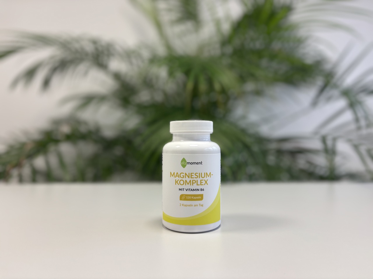 Vitamoment Magnesium-Komplex - Produktbild Main