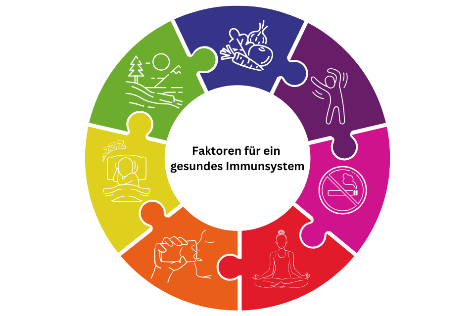 Abbildung Faktoren für ein gesundes Immunsystem