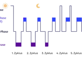 Schlafphasen – Wie ist unser Schlaf aufgebaut und was passiert währenddessen im Körper? Ablauf der Schlafphasen