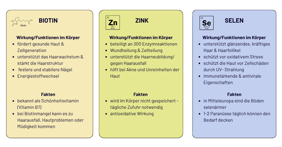 Biotin, Zink & Selen im Überblick
