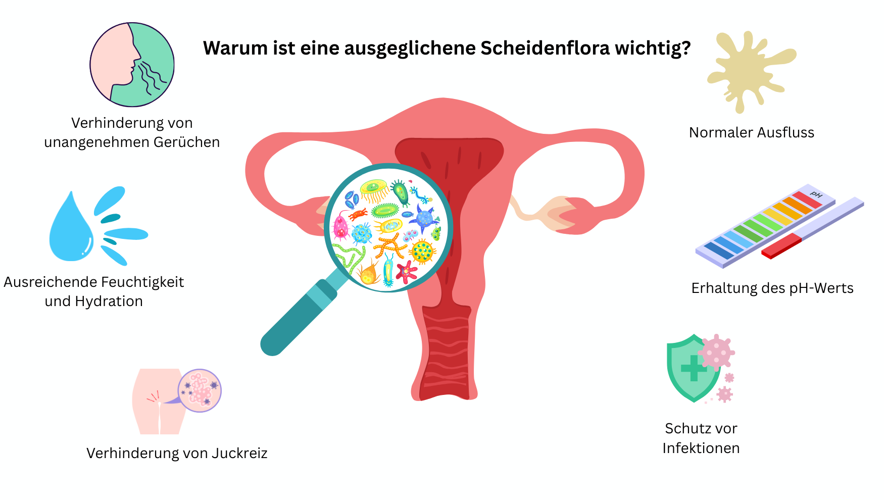 Warum ist eine ausgeglichene Scheidenflora wichtig Abbildung