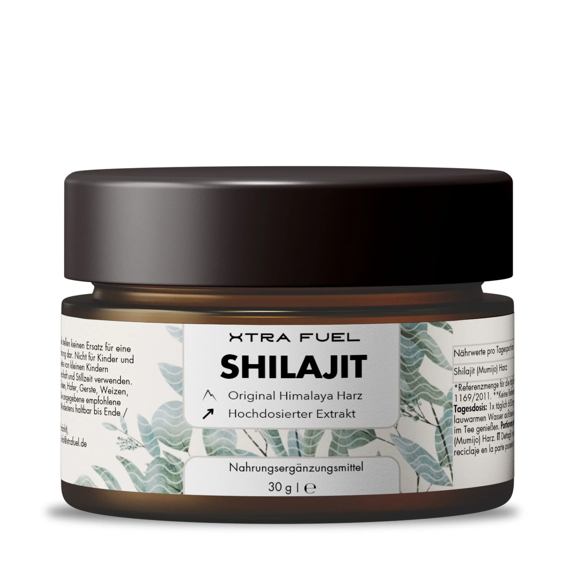 Shilajit Harz