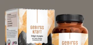 Gebirgskraft Shilajit-Komplex von Naturtreu (Note: 1,14) Gebirgskraft Titelbild