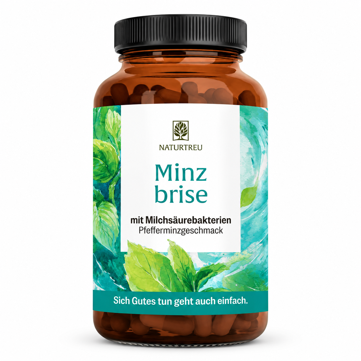 1 Dose Minzbrise